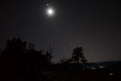 DSC_1111 (Large).JPG